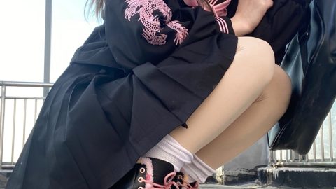 Japanese Anime School Girl Dragon Sailor Suit Skirt Set