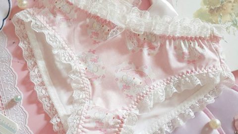 Women's kawaii Soft Ribbon High Waist Sexy Pink Underwear