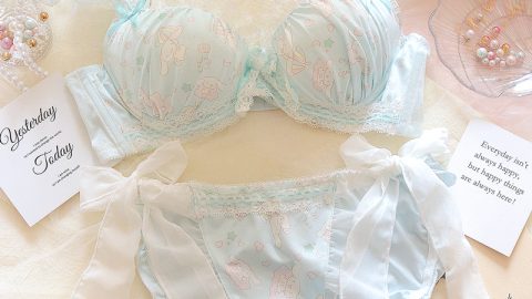 Japanese girl sweet cute lolita my melody underwear set